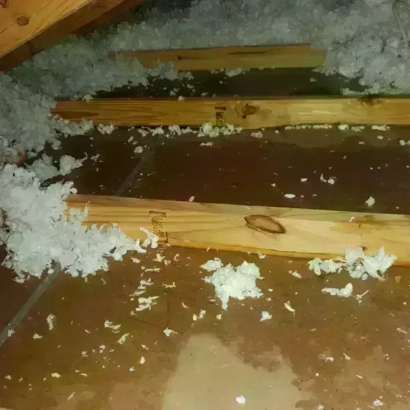 Attic Water Damage in Blackstone, MA