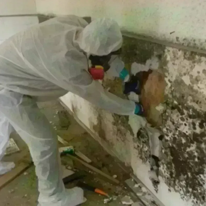 Mold Remediation and Removal in Blackstone, MA